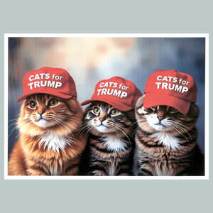 #0201  Trump 3 Cats For Trump 4x6 Version Glossy Photo Fast Ship